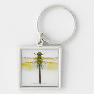 Green darner (Anax junius) on white background, Key Ring