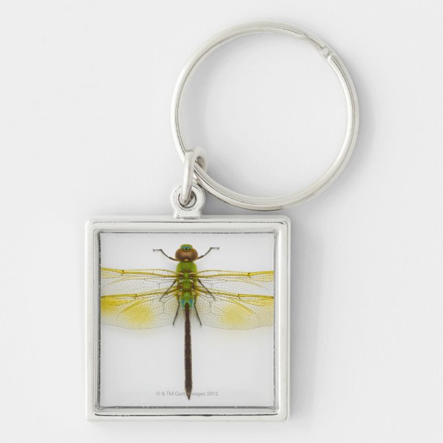Green darner (Anax junius) on white background, Key Ring (Front)