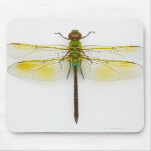 Green darner (Anax junius) on white background, Mouse Pad