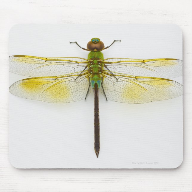 Green darner (Anax junius) on white background, Mouse Pad (Front)