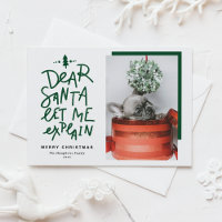 Green Dear Santa Let Me Explain Photo Christmas