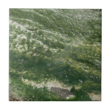 Green Decorative Tile