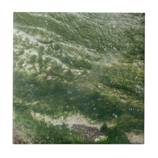 Green Decorative Tile