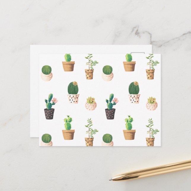 Green Dessert Succulent Cactus in Pots Postcard (Front/Back In Situ)