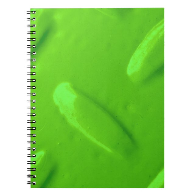 Green Diamondplate Notebook (Front)