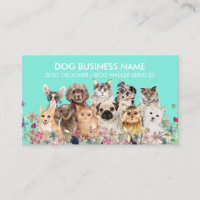 Green Dogs Cats Breeds Grooming Service