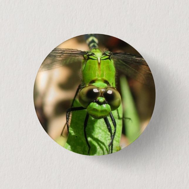 "Green Dragon" Eco Pin (Front)