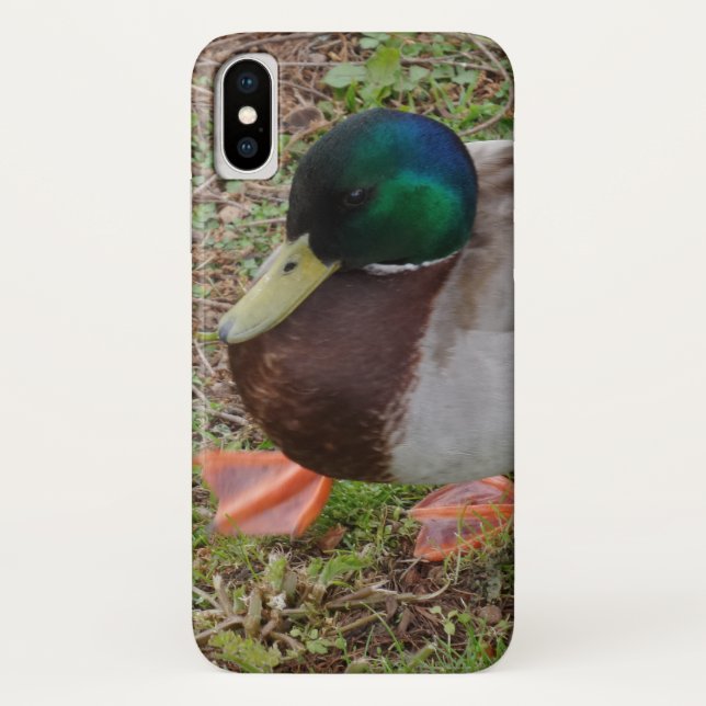 Green Duck Apple iPhone X, Barely TherePhoneCase Case-Mate iPhone Case (Back)