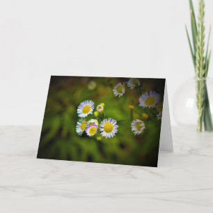 Green Earth, card