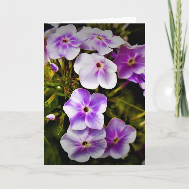 Green Earth, card (Front)