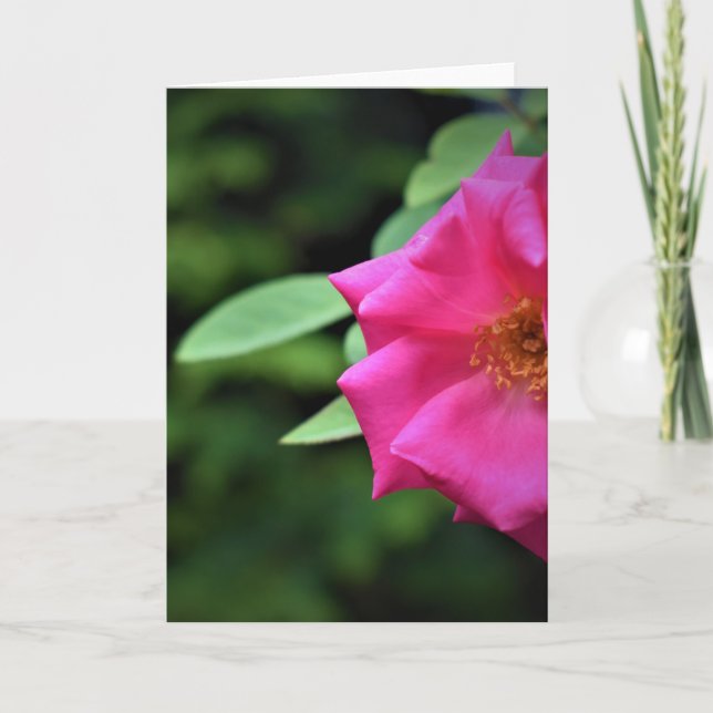 Green Earth, card (Front)