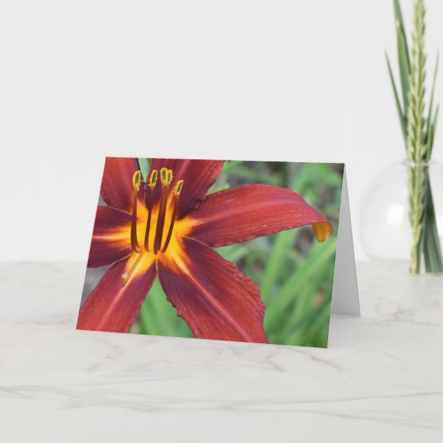 Green Earth Card (Front)