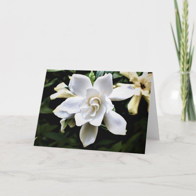 Green Earth Card (Front)