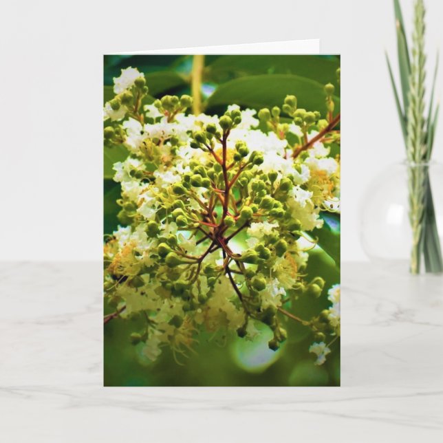 Green Earth, card (Front)