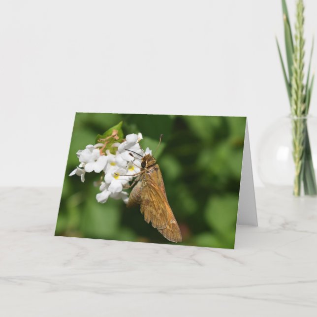 Green Earth Card (Front)