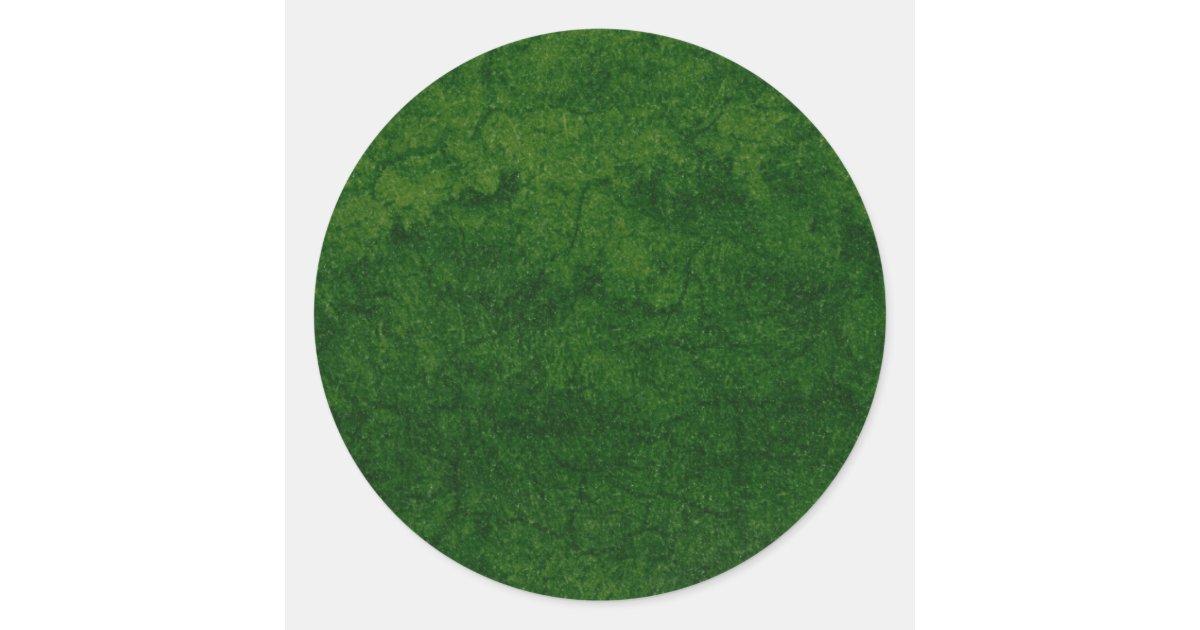 Green Earth Classic Round Sticker | Zazzle