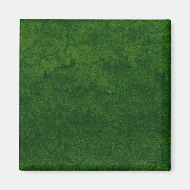 Green Earth Magnet (Front)