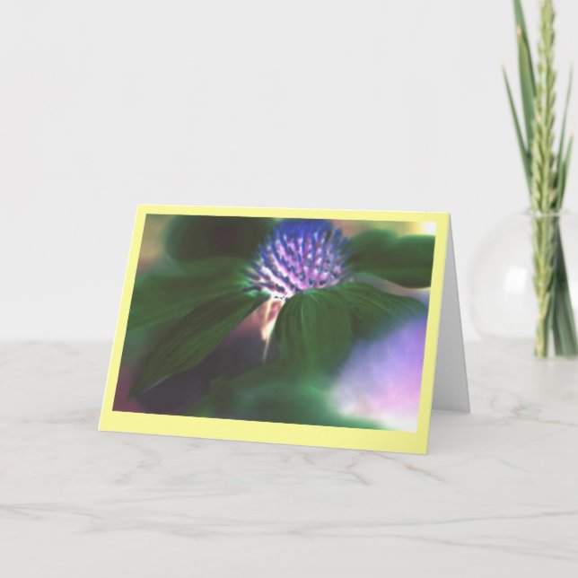 "Green Echinacea" Card (Front)