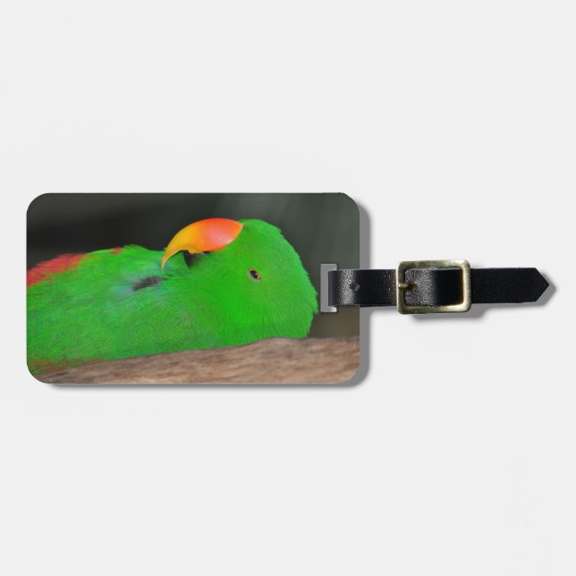 Green eclectic parrot luggage tag (Front Horizontal)