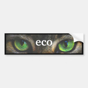 Green eco cat eyes bumper sticker