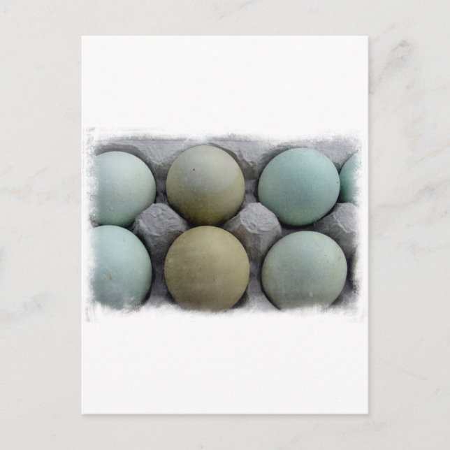 Green Eggs Postcard (Front)