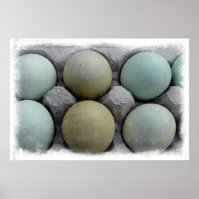 Green Eggs Poster (Front)