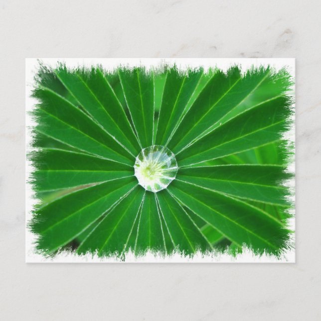 Green Energy  Postcard (Front)