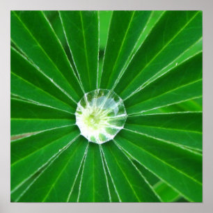 Green Energy Poster Print