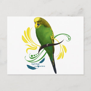 Green English Budgie Postcard