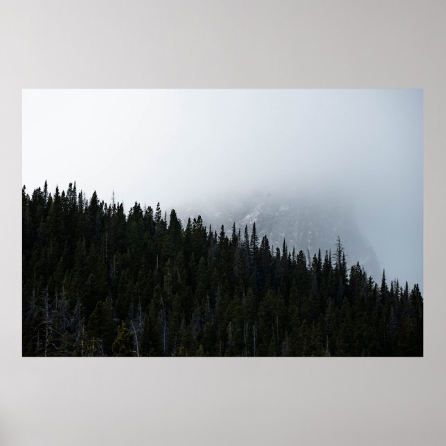 GREEN EVERGREEN TREES UNDER A CLOUDY SKY POSTER (Front)