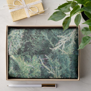 Green Evergreens Peaceful Nature Winter Hope God Tissue Paper