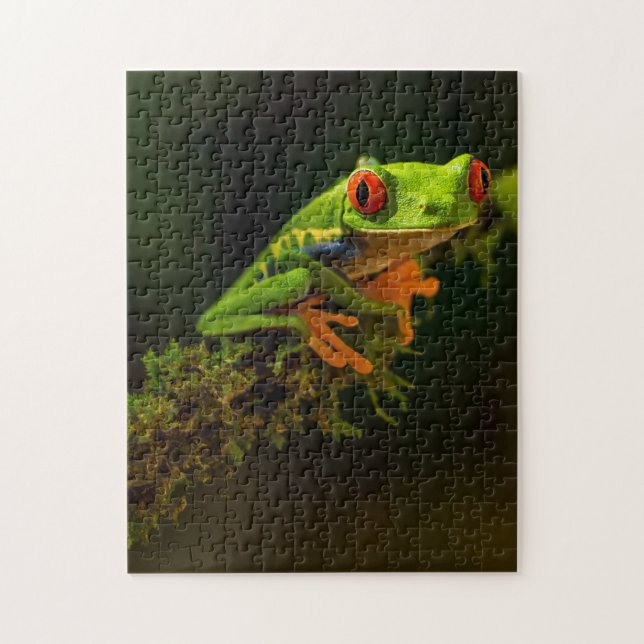 Green Exotic Summer Frog Reptile with red eyes Jigsaw Puzzle (Vertical)