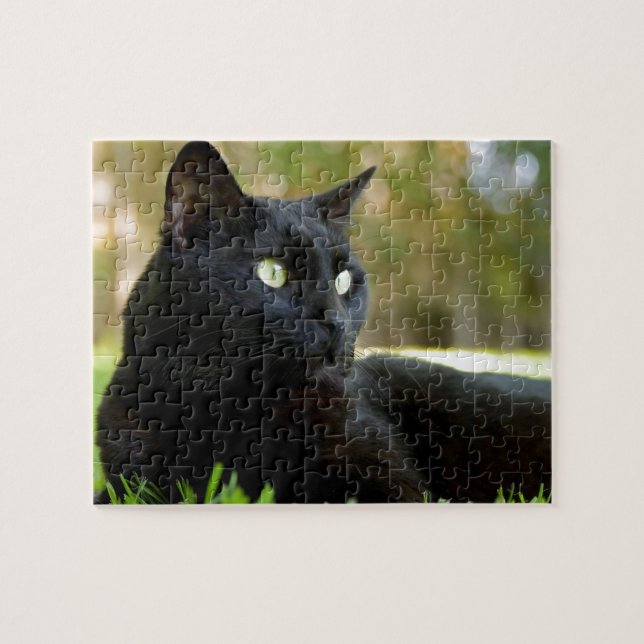 Green Eyed Black Cat Enjoying the Outdoors Jigsaw Puzzle (Horizontal)