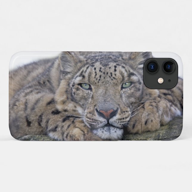 Green-Eyed Gaze iPhone 11 Case (Back (Horizontal))