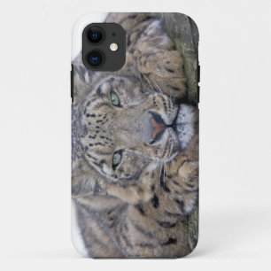 Green-Eyed Gaze iPhone 5 Case-Mate Case