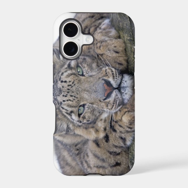 Green-Eyed Gaze iPhone 5 Case-Mate Case (Back)
