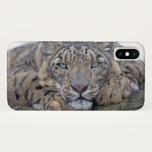 Green-Eyed Gaze iPhone X Case (Back (Horizontal))