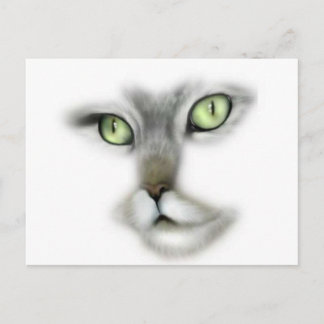 Green Eyed Kitty Postcard