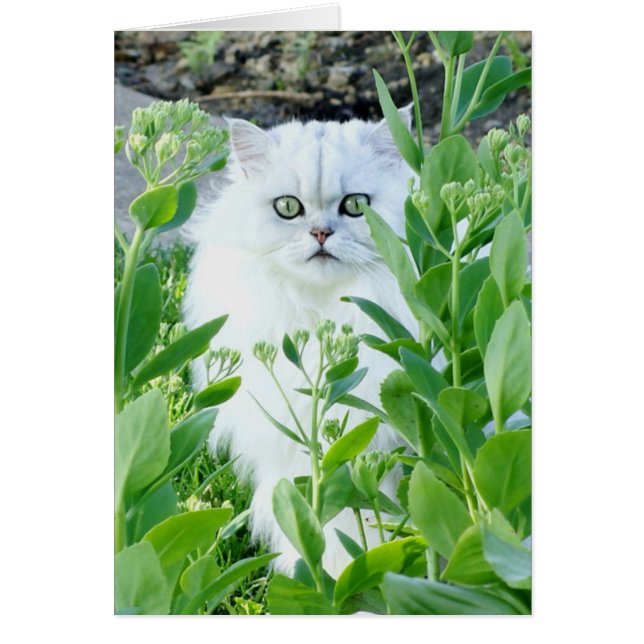 Green Eyed Monster (Front)