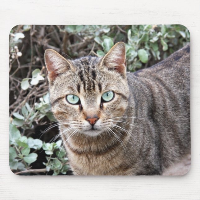 Green eyed Tabby Cat mousepad (Front)
