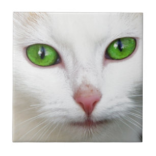 Green Eyed White Cat Ceramic Tile
