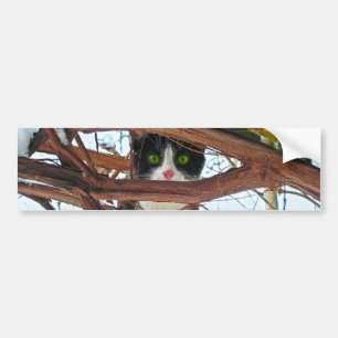 Green Eyes Bumper Sticker