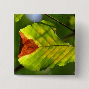 Green Fall Leaf 15 Cm Square Badge