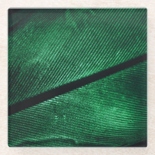 Green Feather, Beautiful Pattern Texture. Glass Coaster