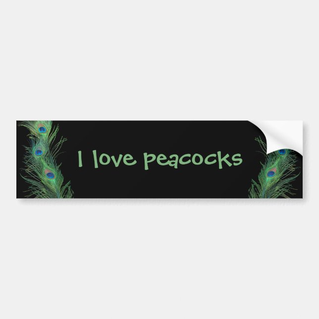 Green Feathers with Black Bumper Sticker (Front)