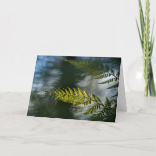 Green Fern Frond Nature Photo Card