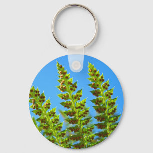 Green Fern Fronds keychain Blue Sky nature