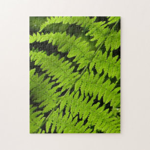 Green fern jigsaw puzzle