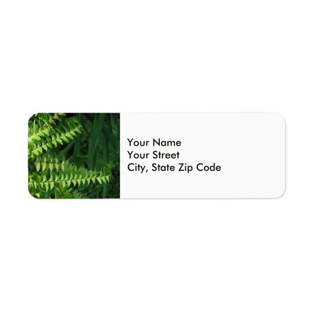 Green Fern Leaves Nature Photo Return Address Label (Front)