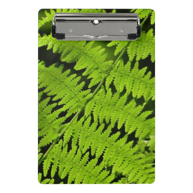 Green fern mini clipboard (Front)